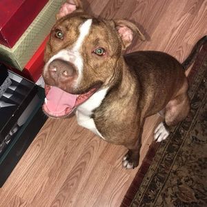 Meet your Posher, Crystal